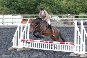 Class 4 - Fences 2'3 to 2'6